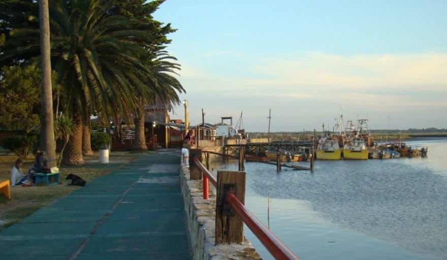 Barcos pesqueros en el puerto